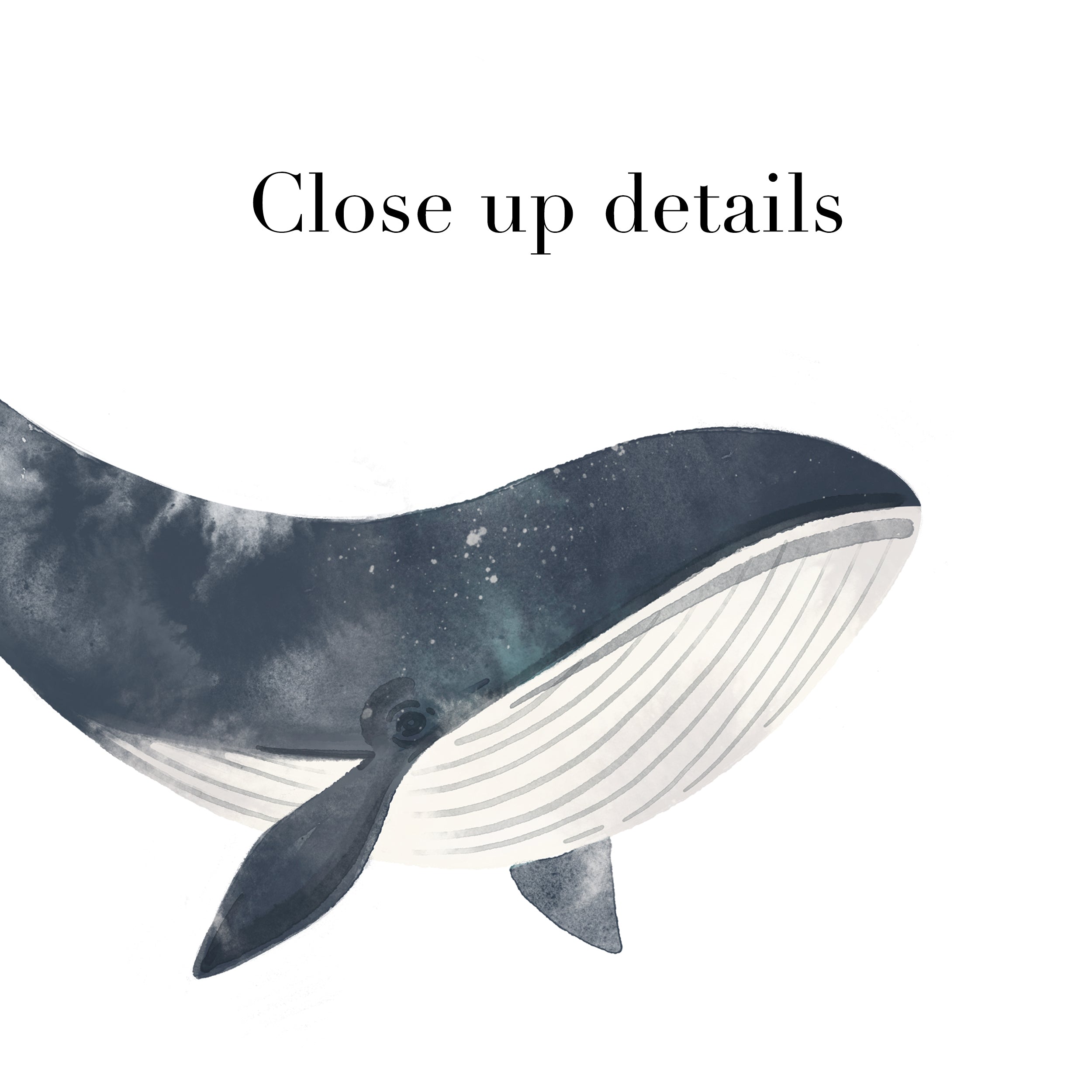 Whales Poster for Nursery and Kids Room