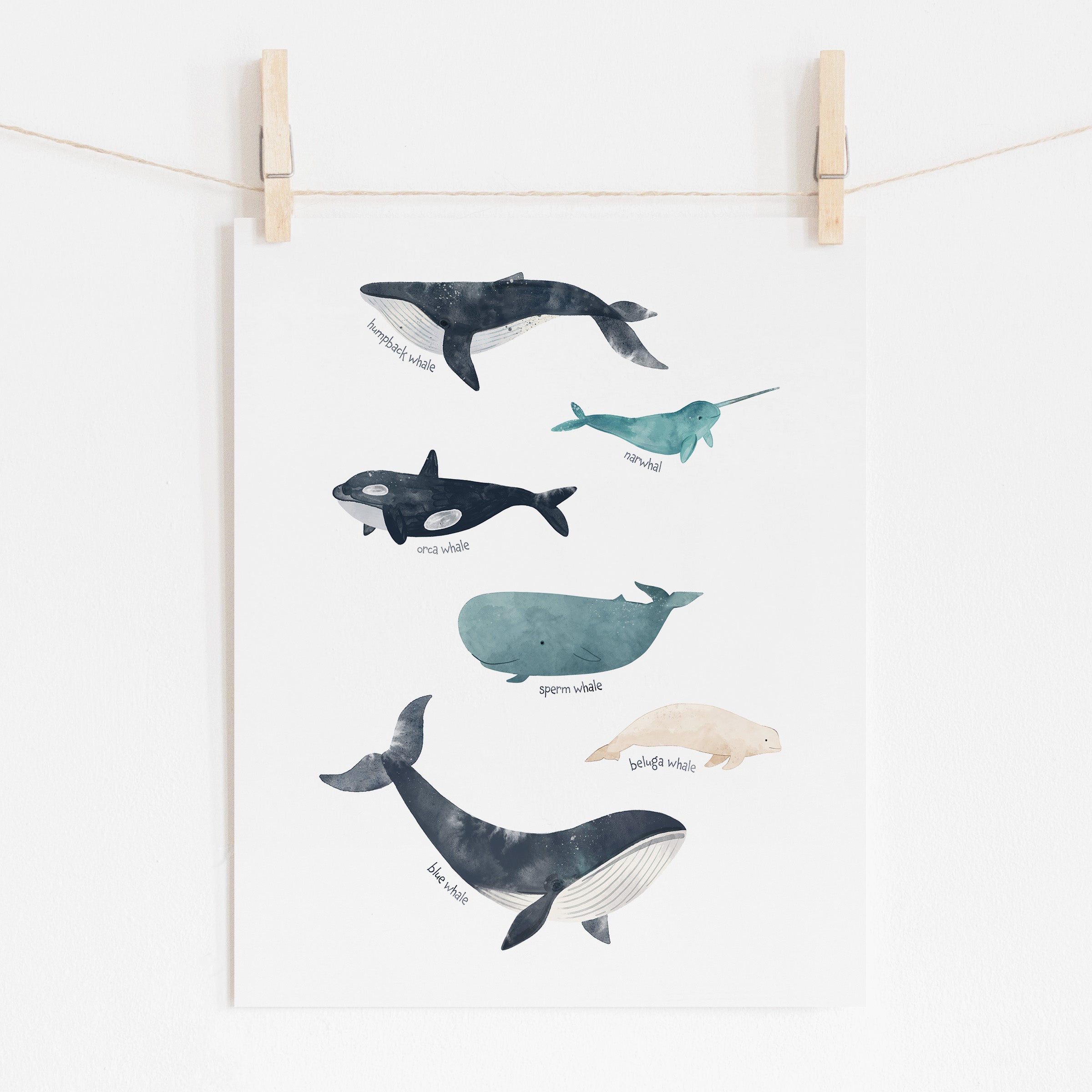 Whales Poster for Nursery and Kids Room